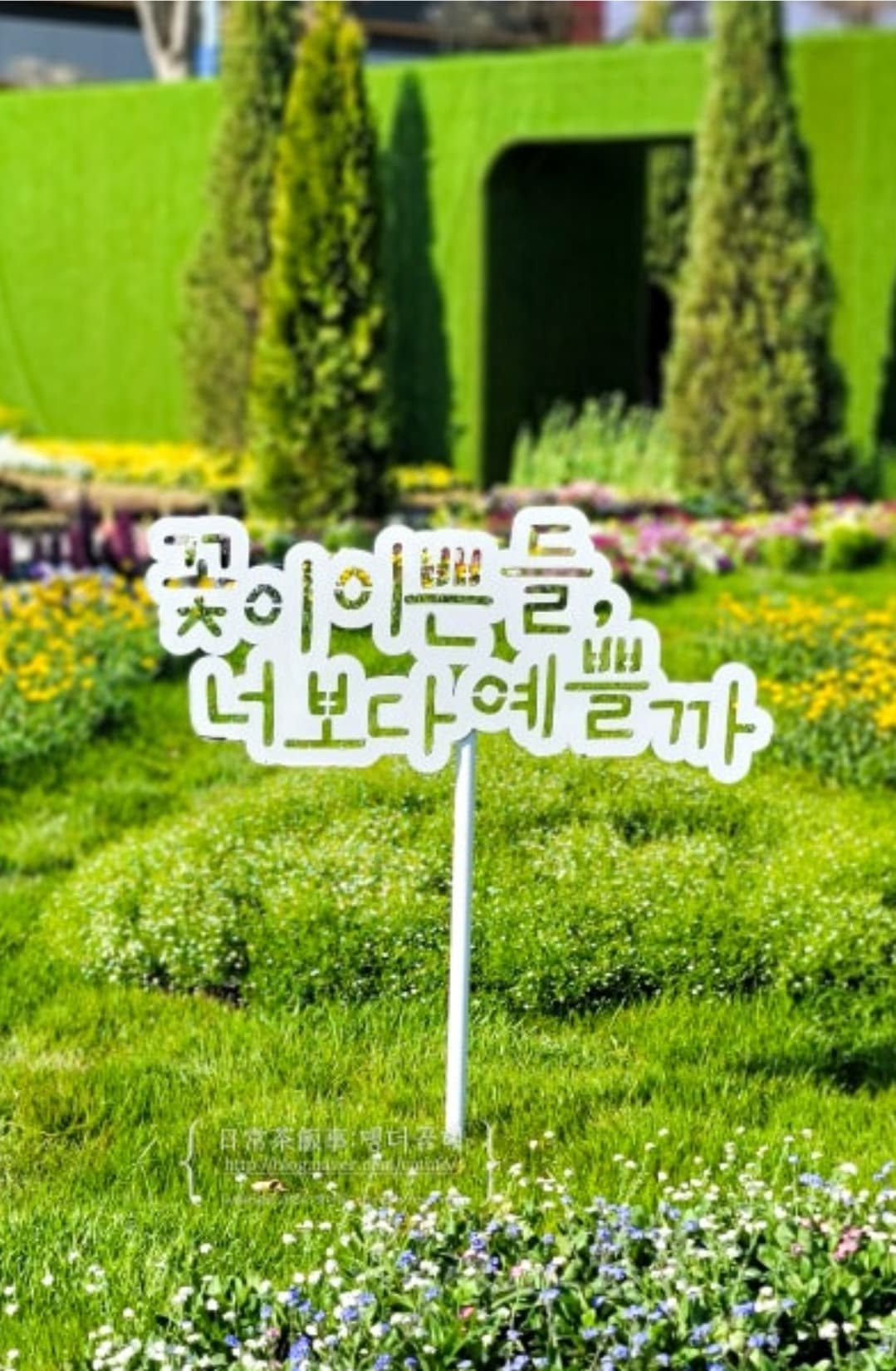 리오